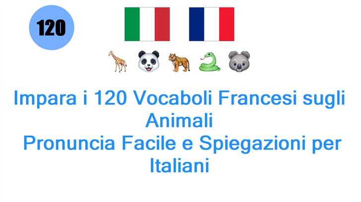 Impara i 120 Vocaboli Francesi sugli Animali: Pronuncia Facile e Spiegazioni per Italiani